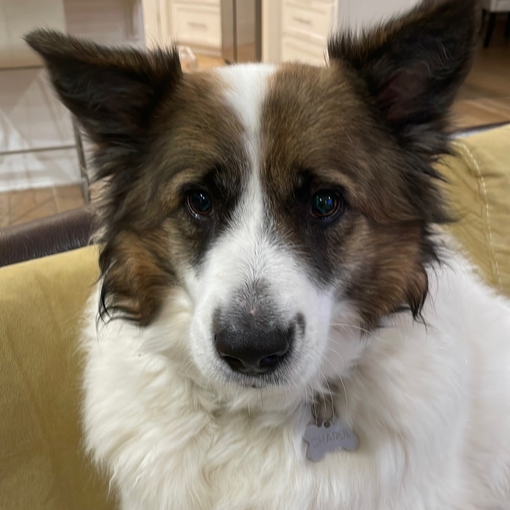 Meet your Posher, Bonnie